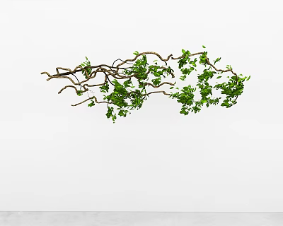 Lush Green Decorative Vine With Hanging Branches And Fresh Leaves On White Wall 3d model