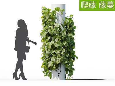Lush Climbing Vines Covering White Pillar With Green Leaves Near Walking Woman 3d model