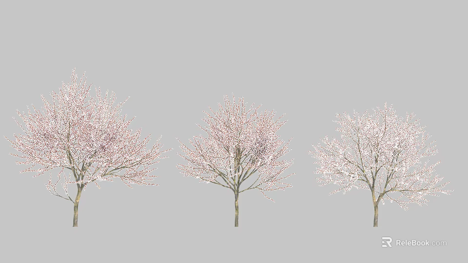 Three Beautiful Garden Trees With Pink Blossoms In Full Bloom 3d model 