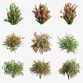 Different Types of Garden Shrubs with Green Leaves and Red Flowers