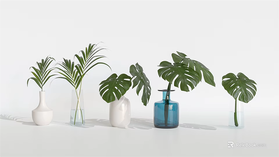 Various Colored Vases With Palm And Monstera Leaves For Home Decoration 3d model 