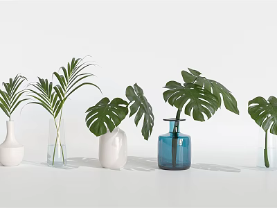 Various Colored Vases With Palm And Monstera Leaves For Home Decoration 3d model