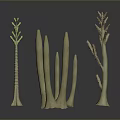 Decorative Cream White Plant Sculptures With Various Shapes On Gray Black Reflective Surface