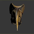 Prehistoric Flying Animal Skull with Large Beak and Textured Surface on Dark Background
