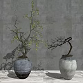Bonsai Plants In White Textured Vases With Green Leaves And Bare Branches Against Gray Wall