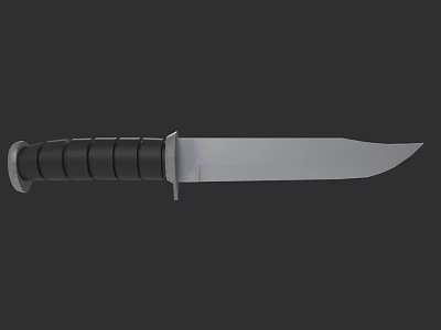 Tactical Fixed Blade Weapon With Black Handle And Silver Sharp Blade 3d model