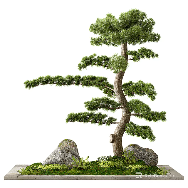 Lush Arbor In Scenic Natural Landscape With Rocks And Surrounding Greenery 3d model 