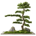 Lush Arbor In Scenic Natural Landscape With Rocks And Surrounding Greenery