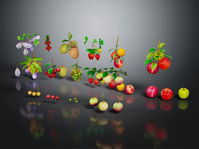 Assorted Fresh Fruits Display With Leaves Vines And Vibrant Colors 3d model