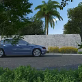 Garden Landscape Featuring Stone Wall Tall Palm Tree and Green Shrubs Around Asphalt Driveway