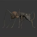 Detailed Black Ant Figure With Long Legs And Brown Abdomen On Dark Background