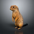 Standing Prairie Dog in Upright Pose on Gray Gradient Background with Surface Reflection