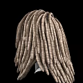 Game and Movie Character With Long Brown And Beige Braided Hair