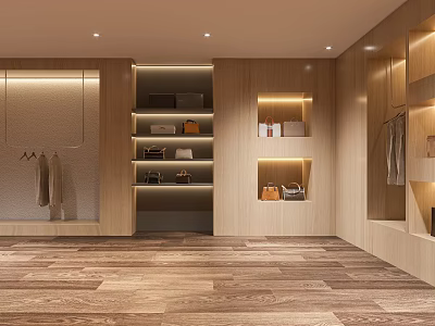 Modern Wooden Walk in Closet Interior With Storage Shelves And Hanging Area 3d model