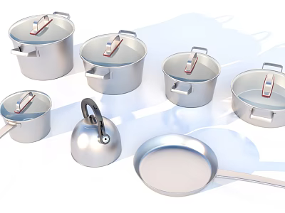 Modern Silver Cookware Set Of Stainless Steel Pots Pans Kettle With Lids And Handles 3d model