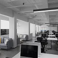 Spacious Public Office Area With Desks Computers Office Chairs Bookshelves And Green Plants