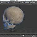 Detailed Handcrafted Human Skull Sculpture With Realistic Facial Features And Texture