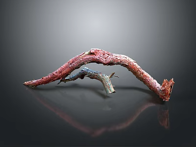 stump tree forest natural root vegetation landscape ecological plant wilderness tree 3d model