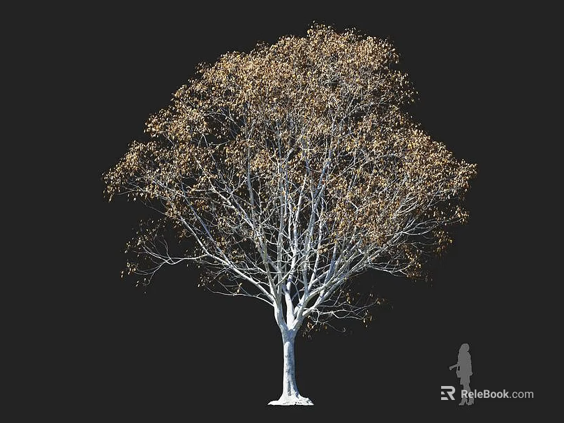 Tall Tree with White Trunk and Sparse Yellow Leaves Against Black Background and Human Silhouette 3d model 