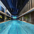 Modern Indoor Swimming Pool Interior With Spacious Design Large Windows And Green Plants