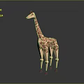 Giraffe Toy Model With Beige Body Pink Spots And Purple Feet Standing On Dark Background