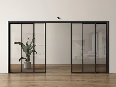 Sliding Glass Doors With Black Frames In Modern Interior Wooden Floor And Plant 3d model