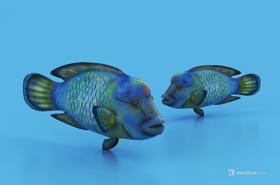 Colorful Tropical Aquatic Animals With Vibrant Scales And Blue Background Two Swimming Fish 3d model 