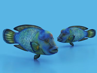 Colorful Tropical Aquatic Animals With Vibrant Scales And Blue Background Two Swimming Fish 3d model