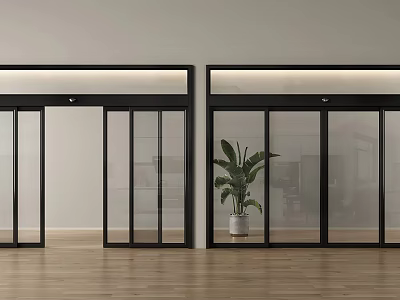 Modern Black Frame Sliding Glass Doors With Green Plant And Wooden Floor Interior 3d model