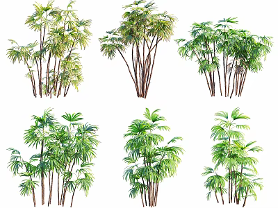 Different Arbor Tree Varieties Featuring Lush Green Foliage and Thin Trunks 3d model