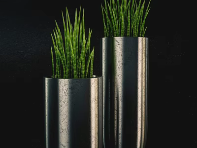 Elegant Bonsai Potted Plants in Silver Metallic Pots with Green Leaves on Black Background 3d model