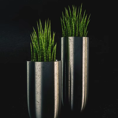 Elegant Bonsai Potted Plants in Silver Metallic Pots with Green Leaves on Black Background 3d model