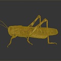 grasshopper insect cartoon locust animation locust anime locust anime game character 3d model