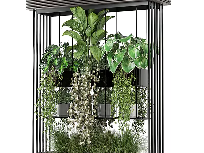 Bonsai Potted Plants On Black Metal Multi Layer Frame With Hanging And Large Leaf Plants 3d model