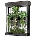 Bonsai Potted Plants On Black Metal Multi Layer Frame With Hanging And Large Leaf Plants