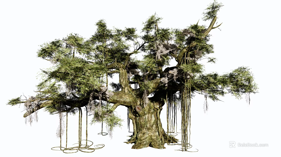 Ancient Tall Tree with Lush Green Leaves Thick Trunk and Hanging Vines 3d model 