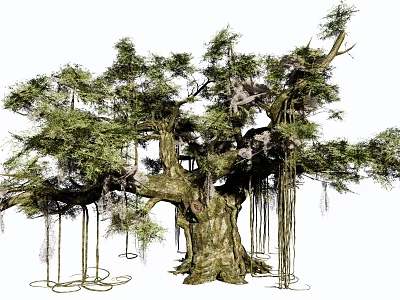 Ancient Tall Tree with Lush Green Leaves Thick Trunk and Hanging Vines 3d model