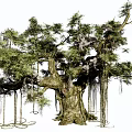 Ancient Trees Modern Trees 3d model
