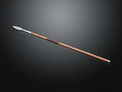 Traditional Spear Weapon With Polished Metal Head And Smooth Wooden Shaft Design 3d model