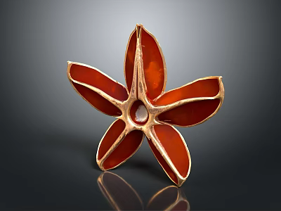 Red Star Shaped Anise Pod Fresh Botanical Plant Close Up View 3d model