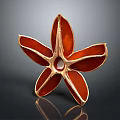Red Star Shaped Anise Pod Fresh Botanical Plant Close Up View