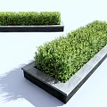 Lush Green Shrubs Planted In Rectangular Concrete Planters For Outdoor Landscaping Design