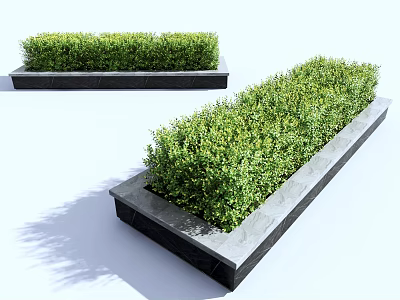 Lush Green Shrubs Planted In Rectangular Concrete Planters For Outdoor Landscaping Design 3d model