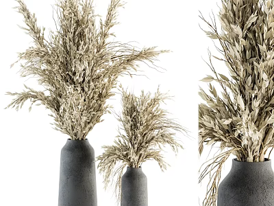 Stylish Minimalist Natural Dried Flowers Decorative Ornament Set with Black Vases 3d model