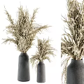 Stylish Minimalist Natural Dried Flowers Decorative Ornament Set with Black Vases