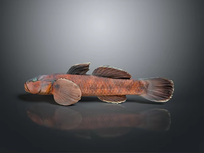 Brown Decorative Fish Figurine With Large Pectoral Fins Tail Textured Surface On Gray Background Reflection 3d model