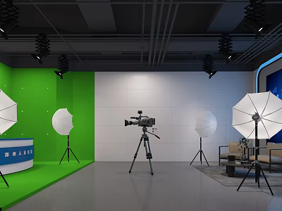 Public Office Space With Green Backdrop White Wall Camera Softbox Lights Sofa And Coffee Table 3d model