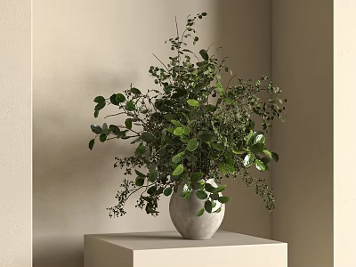 Bonsai Potted Plant With Green Leaves On White Pedestal Against Neutral Wall 3d model