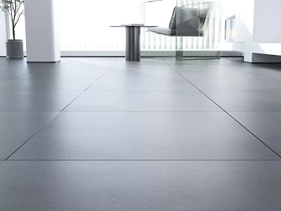 Modern Gray Floor Tiles In Bright Interior With Glass Table And Plant 3d model