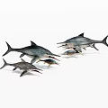 Realistic Swordfish Models in Swimming Pose with Various Sizes and Detailed Features
